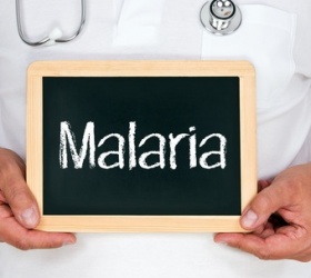 que-es-la-malaria